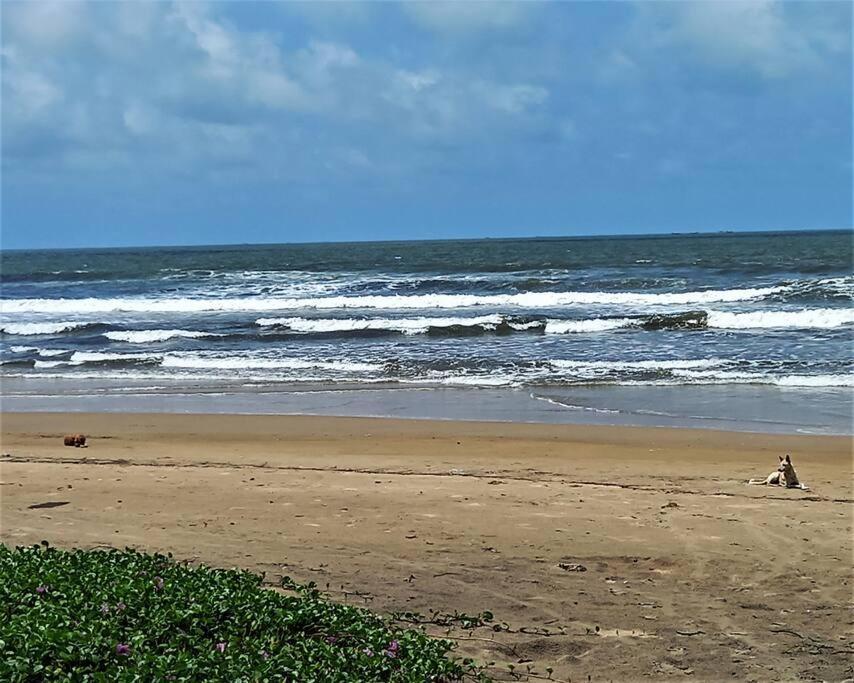 Cockerel Homestay - Traditional Beach Village - Goa Kanakona Kültér fotó